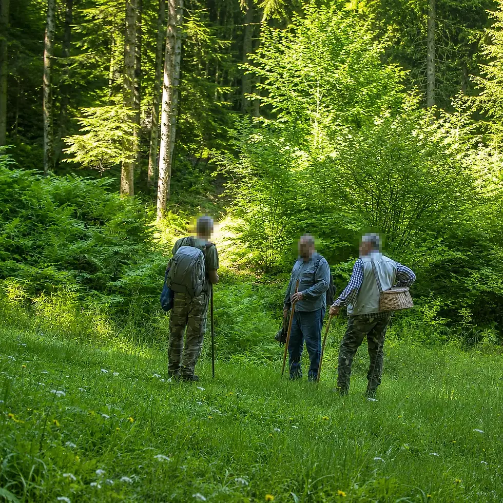 Schwammerln-Klauber bewegen sich oft mitten durch die Ruheräume der Wildtiere