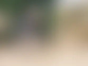 Ein Jäger auf der Pirsch, mit geschultertem Gewehr