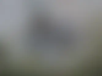 Ein Jäger in Tarnkleidung mit dem Gewehr im Liegendanschlag