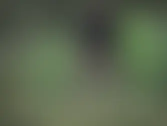 Ein Jäger im Wald