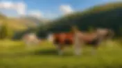 Why Alpine Grazing is Essential for Wildlife and Hunters