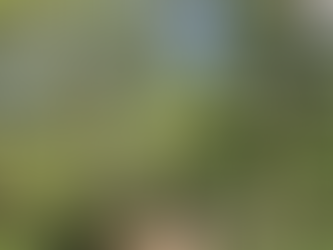 A beautiful park day