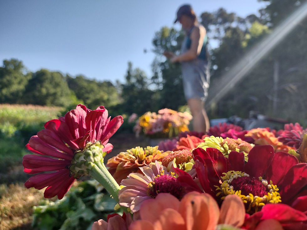 July Newsletter