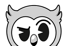 Mascote de coruja vintage representando a inteligência e versatilidade no design gráfico e direção de arte.