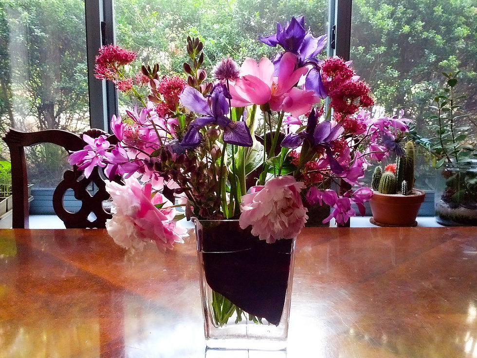 Peonies and Things
