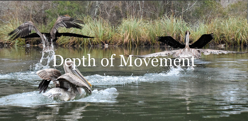 Thumbnail: Depth of Movement Series