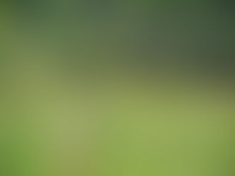 Summer's Heat Has Nothing To Do With It