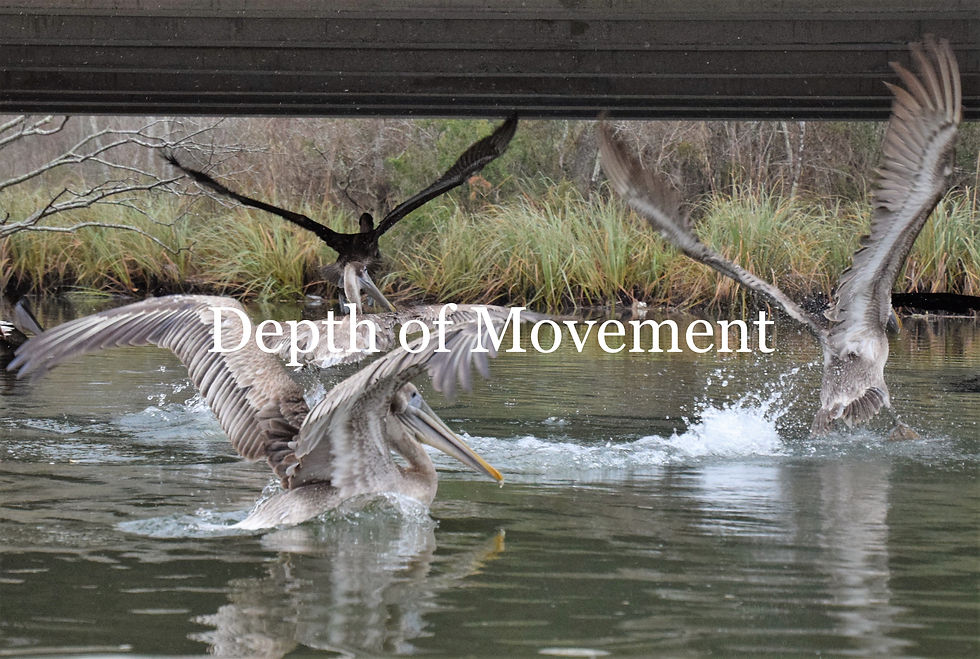 Thumbnail: Depth of Movement Series
