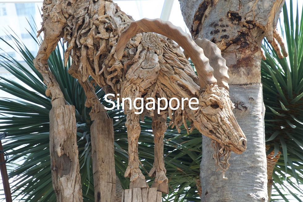 Thumbnail: Singapore