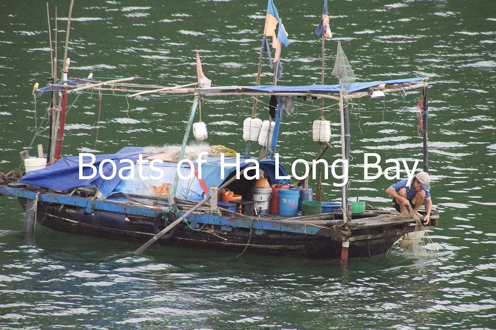 Thumbnail: Boats of Ha Long Bay