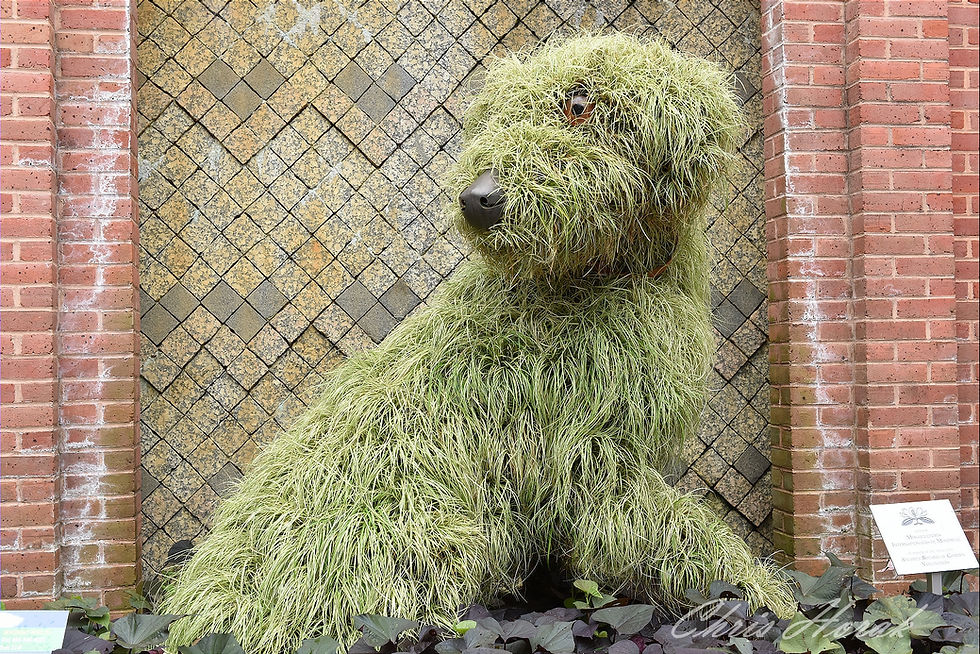Thumbnail: Atlanta Botanical Gardens Fantasy Creatures
