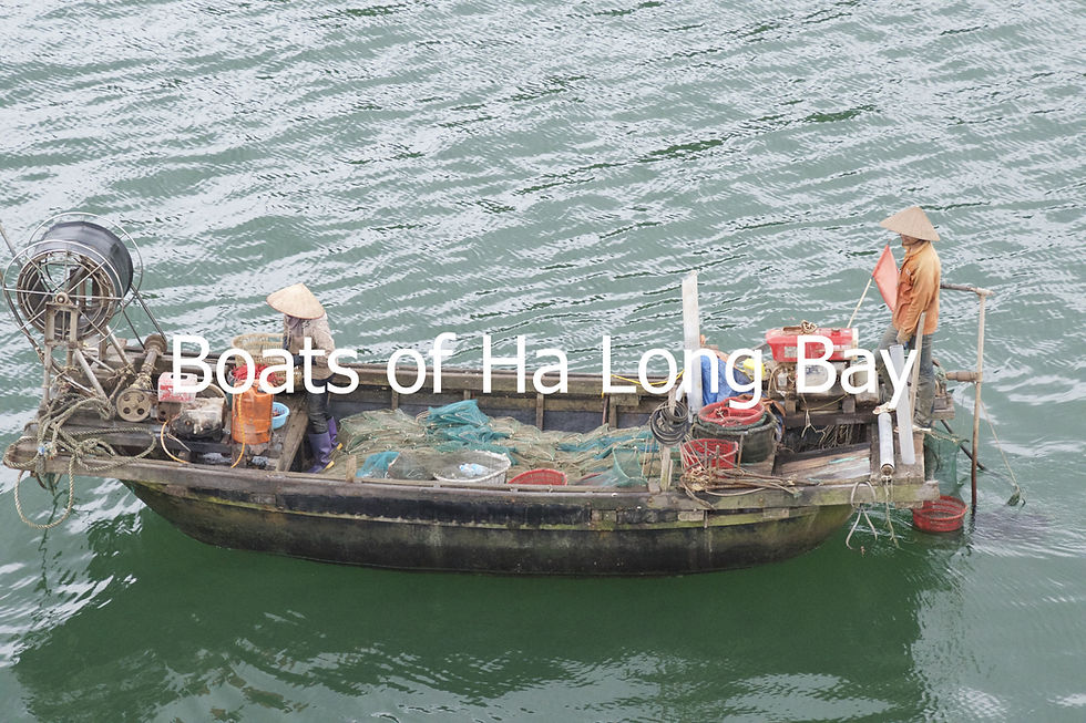 Thumbnail: Boats of Ha Long Bay