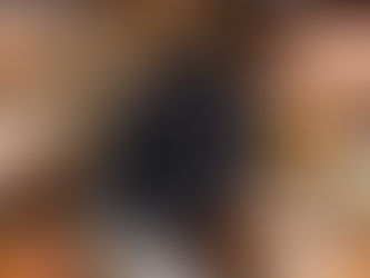 Alabama Butterflies in the Wild 6.