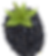 animation_blackberry2.png