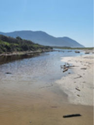 Lovevision 21days dia 1 a 6_edited.jpg