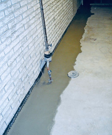 48D03425-65EB-4123-9349-3326327AA686.jpe