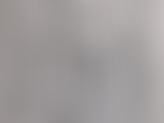 【2/19】御忌法要