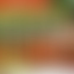 タイ森林派の僧たちと森を歩く【マインドフルネス・ウォーク@猿投山】