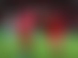 Toluca vence 4-2 al Galaxy