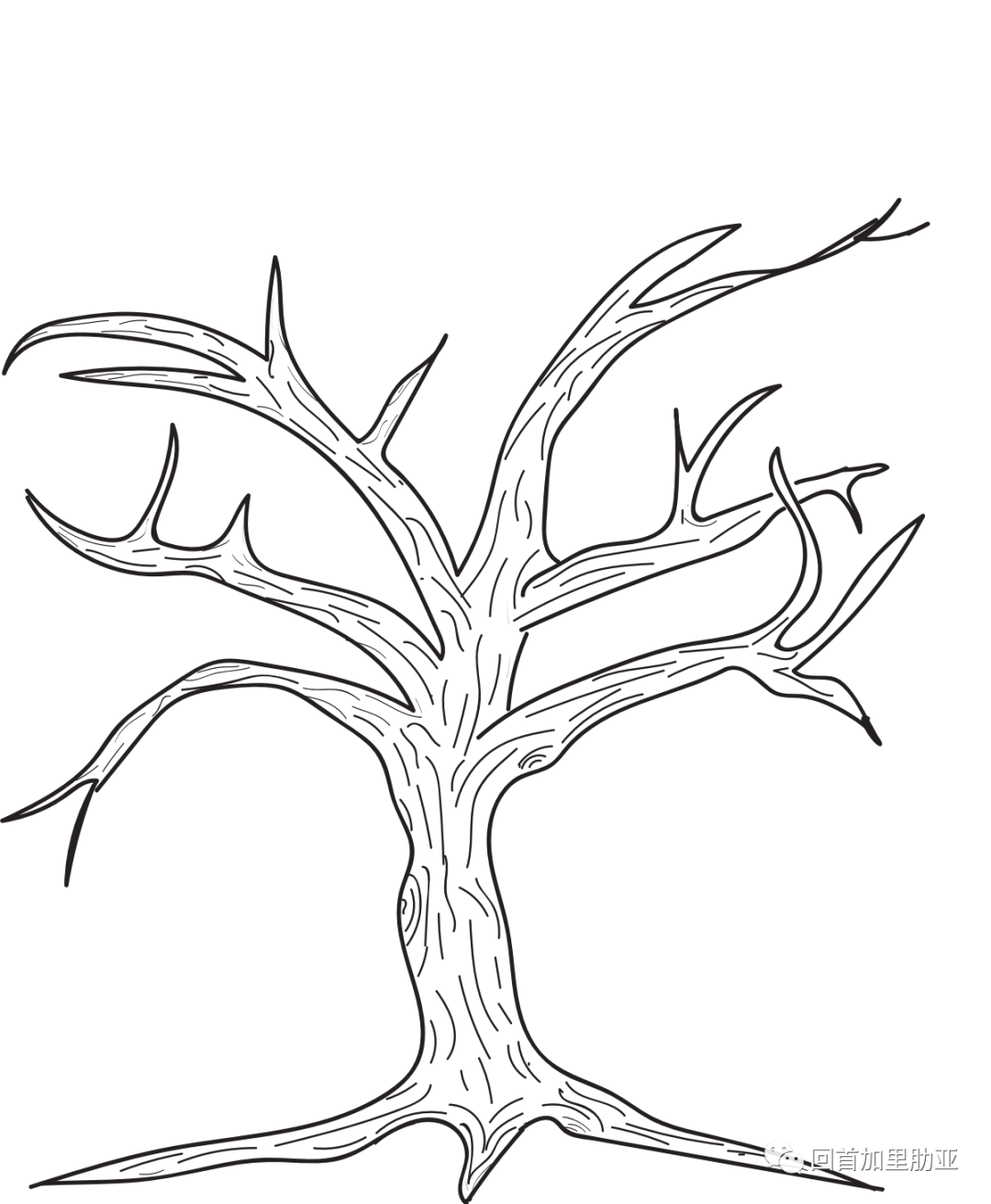 ree