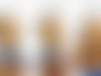 依纳爵的生命和改变