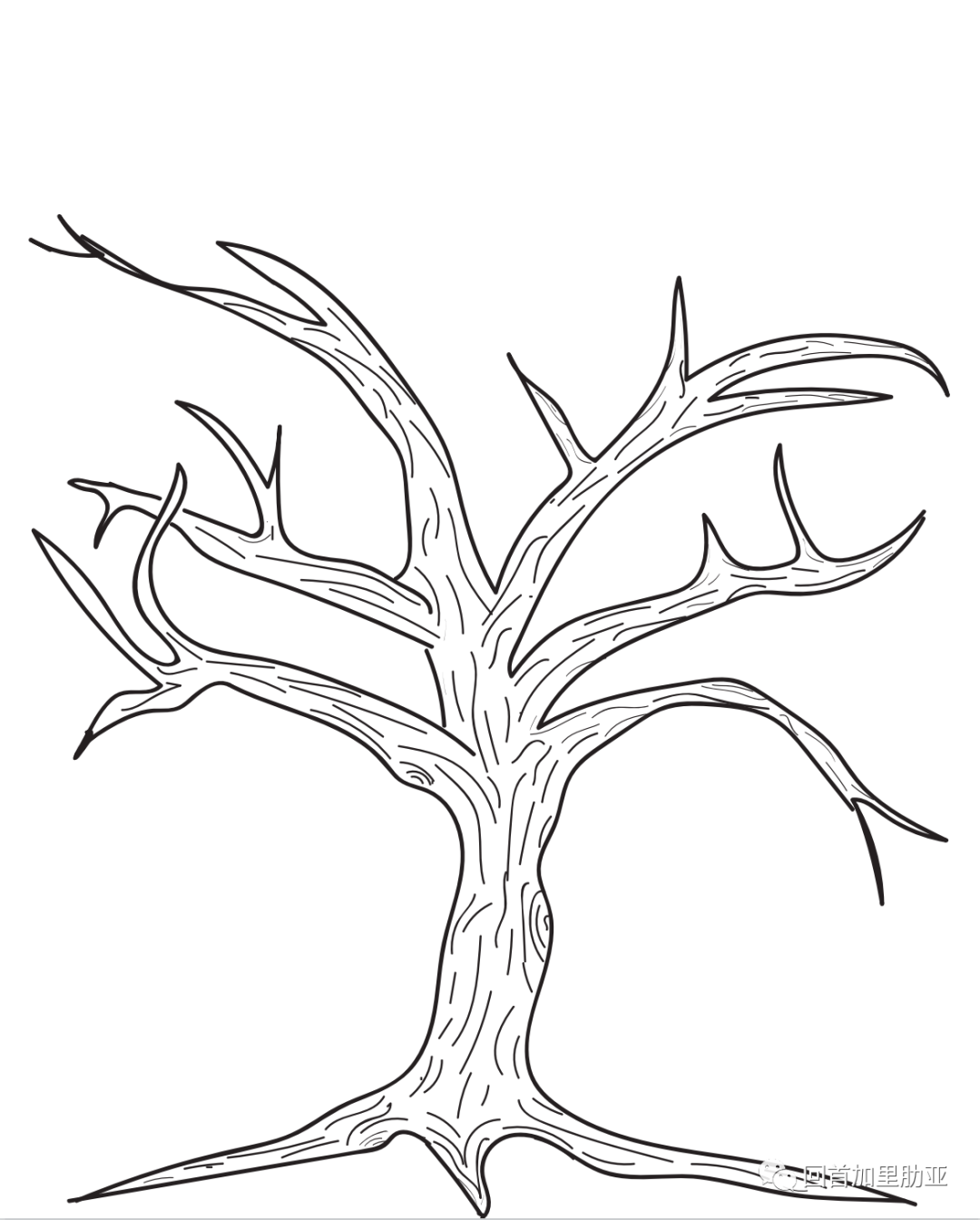 ree