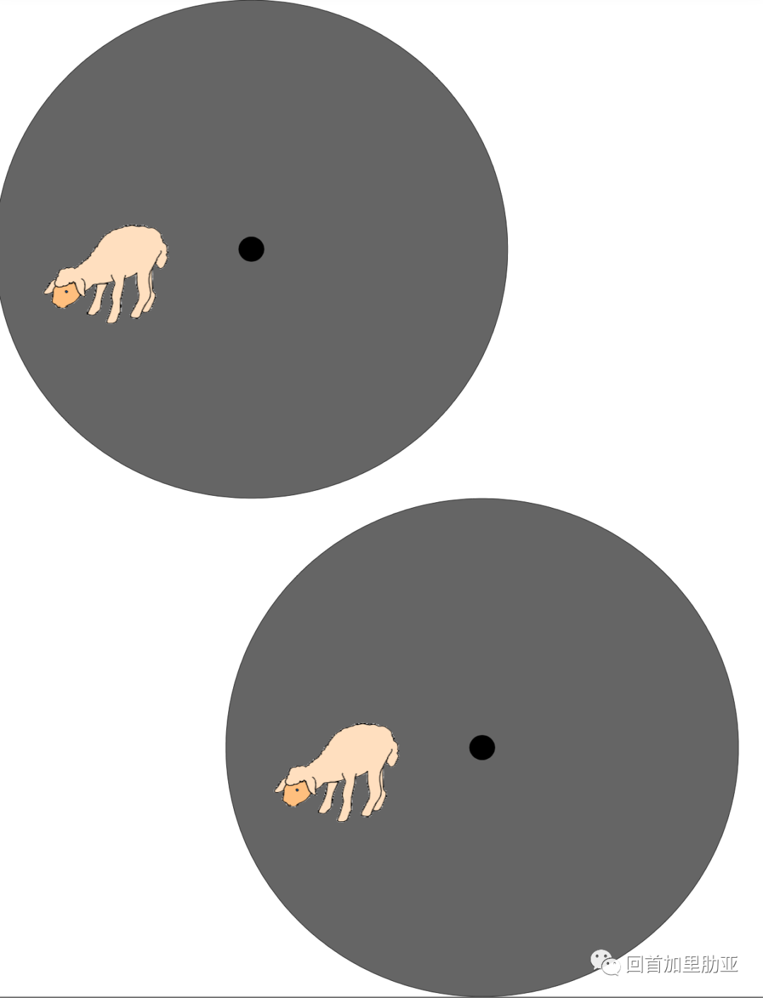 ree