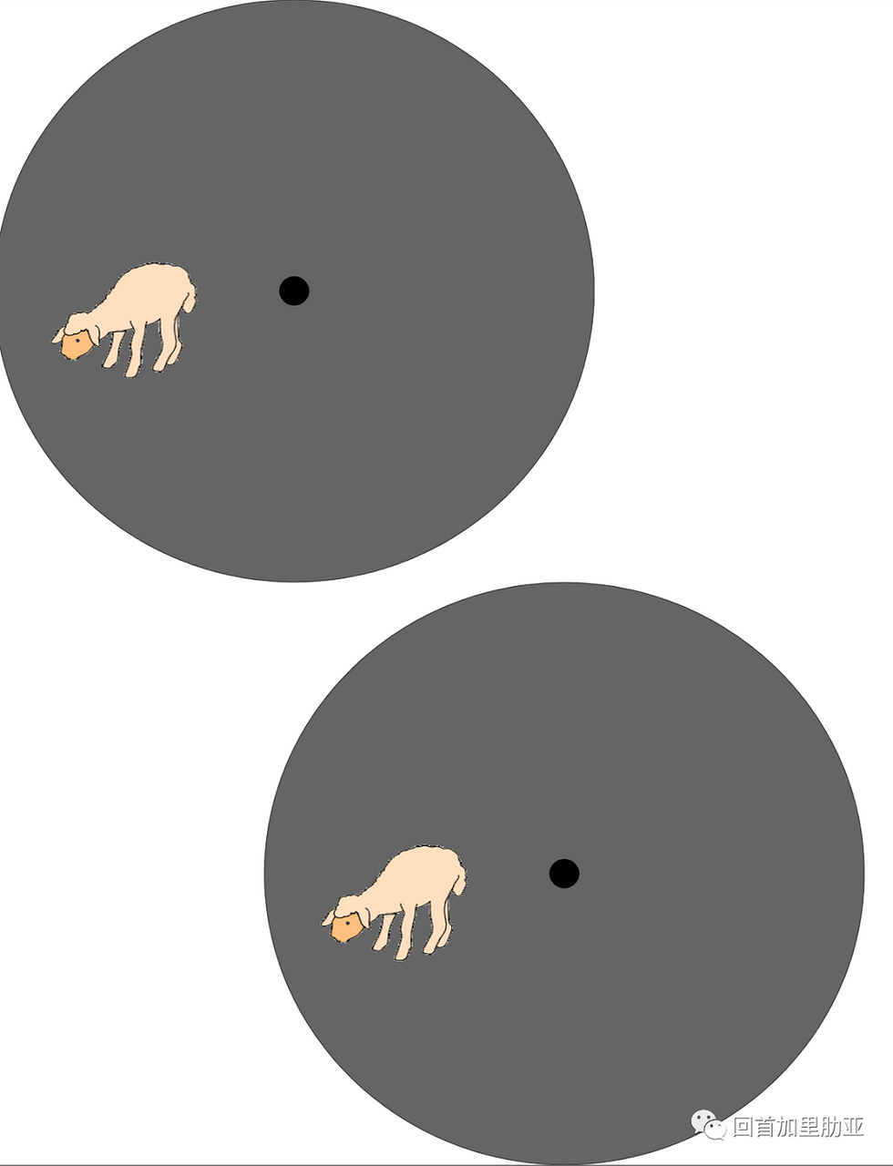 ree