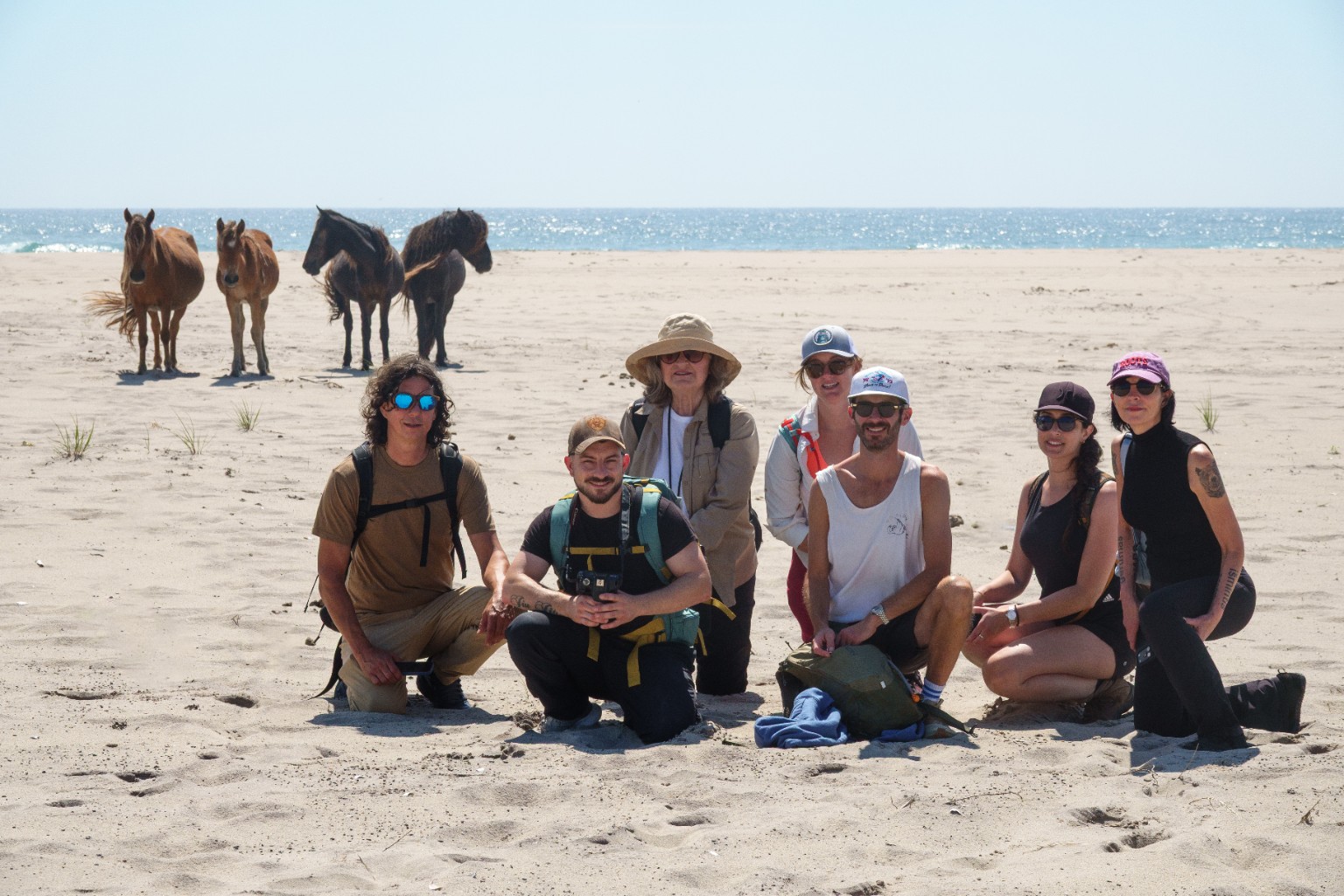 A group of guests on Sable Island’s sandy beach, with wild horses and the Atlantic behind them