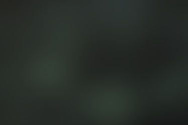 Trying to Find Peace with Fear