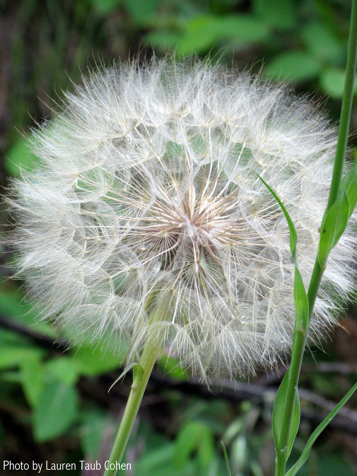 With Outstretched Arms