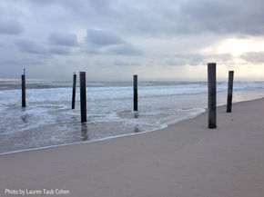 Moment-to-Moment Dawns