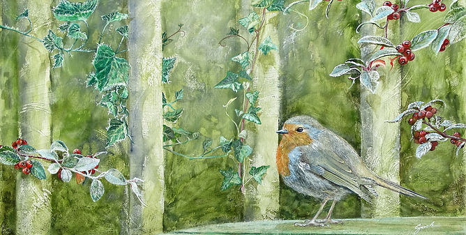 My winter friend Robin