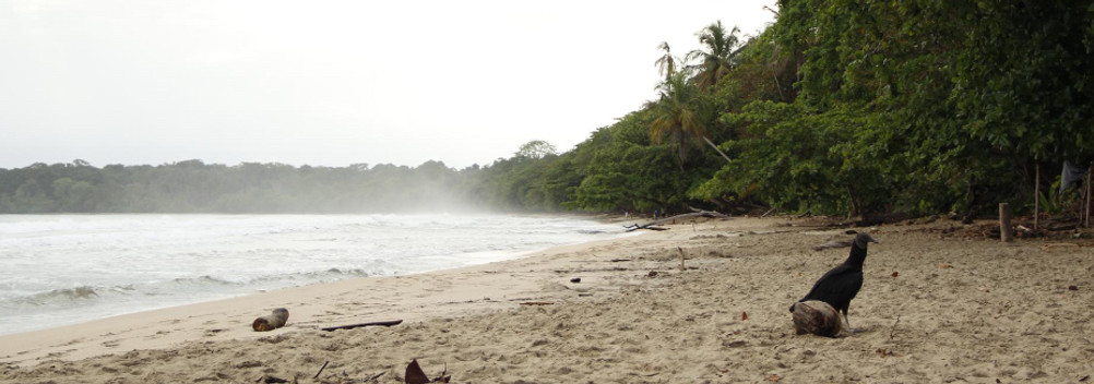 costa rica beach