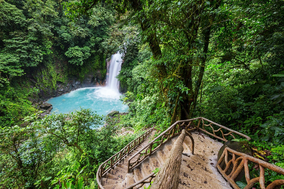 Wooden boardwalk leading to a rainforest waterfall, a hiking trail on a nature retreat in Costa Rica