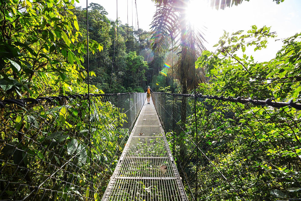 Hiking across a suspension bridge in the jungle on a Costa Rica retreat excursion