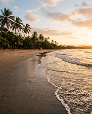 Palm-lined beach in Tamarindo, a top destination for a retreat in Costa Rica