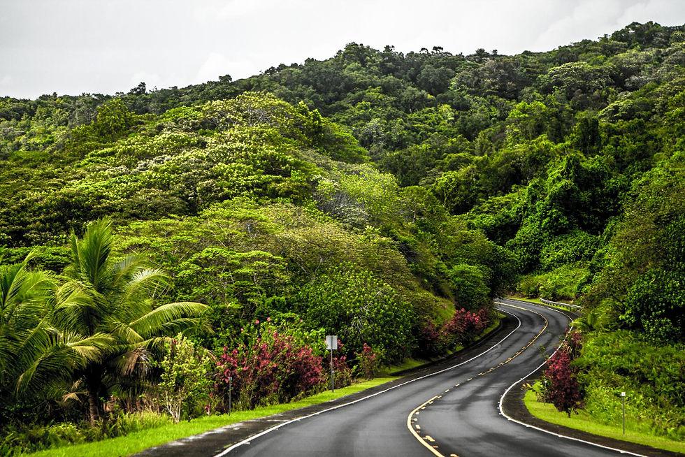Winding road through lush jungle hills en route to a Costa Rica retreat