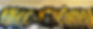 nkcc_wall_edited.jpg