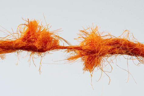 AdobeStock_409473890.jpeg