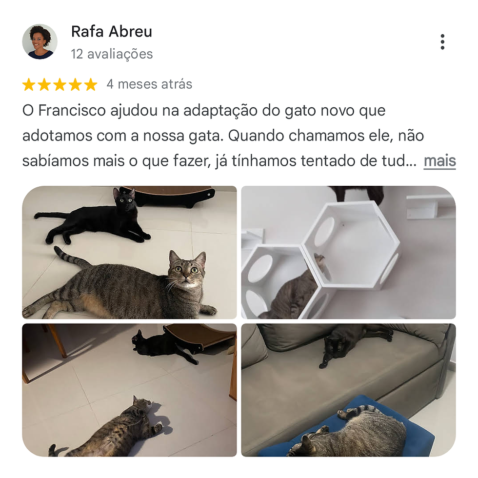 Francisco Rondon Adestrador O mais bem avaliado do Google
