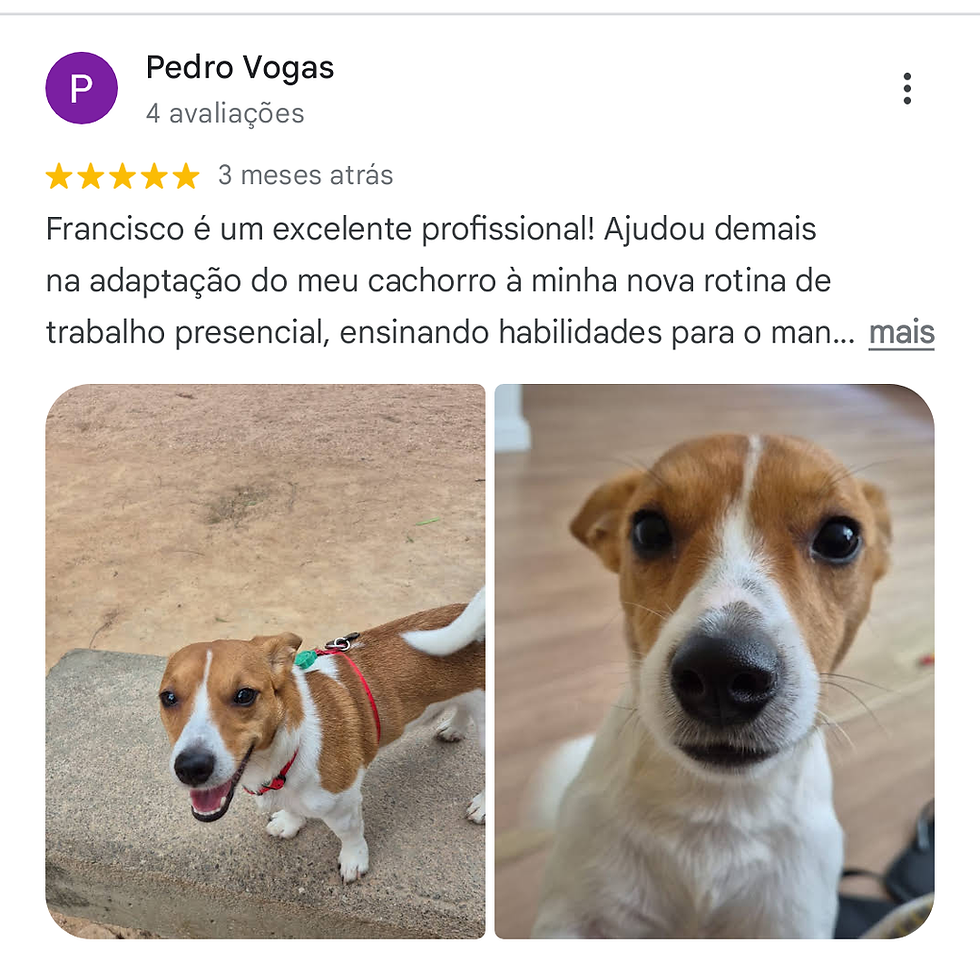 Francisco Rondon Adestrador O mais bem avaliado do Google