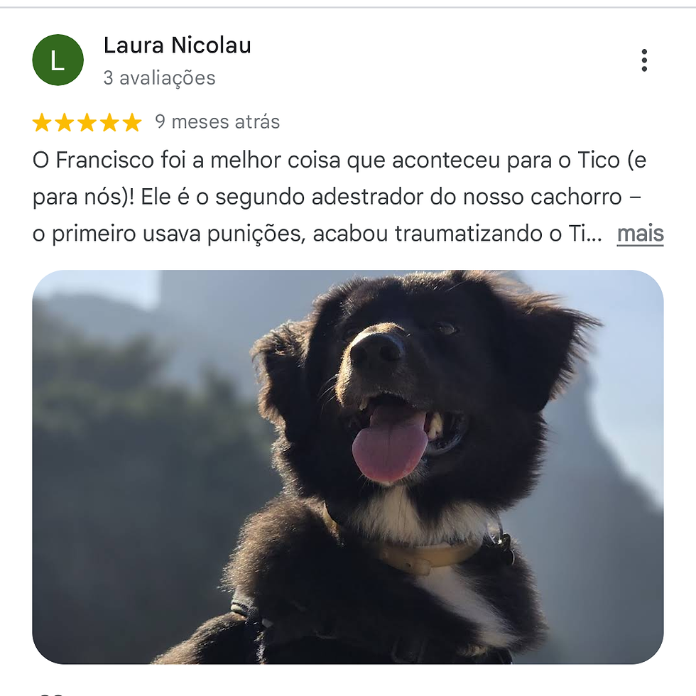 Francisco Rondon Adestrador O mais bem avaliado do Google