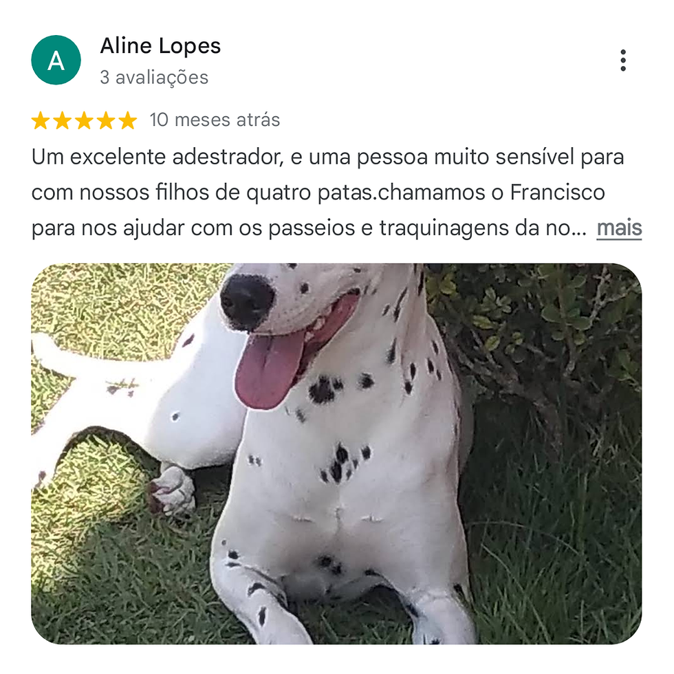 Francisco Rondon Adestrador O mais bem avaliado do Google