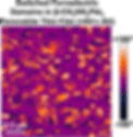 jpcl-ferroelectric