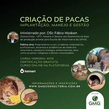curso criação de pacas (6).png