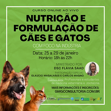 CURSO FLAVIA JANEIRO ONLINE AO VIVO (2).