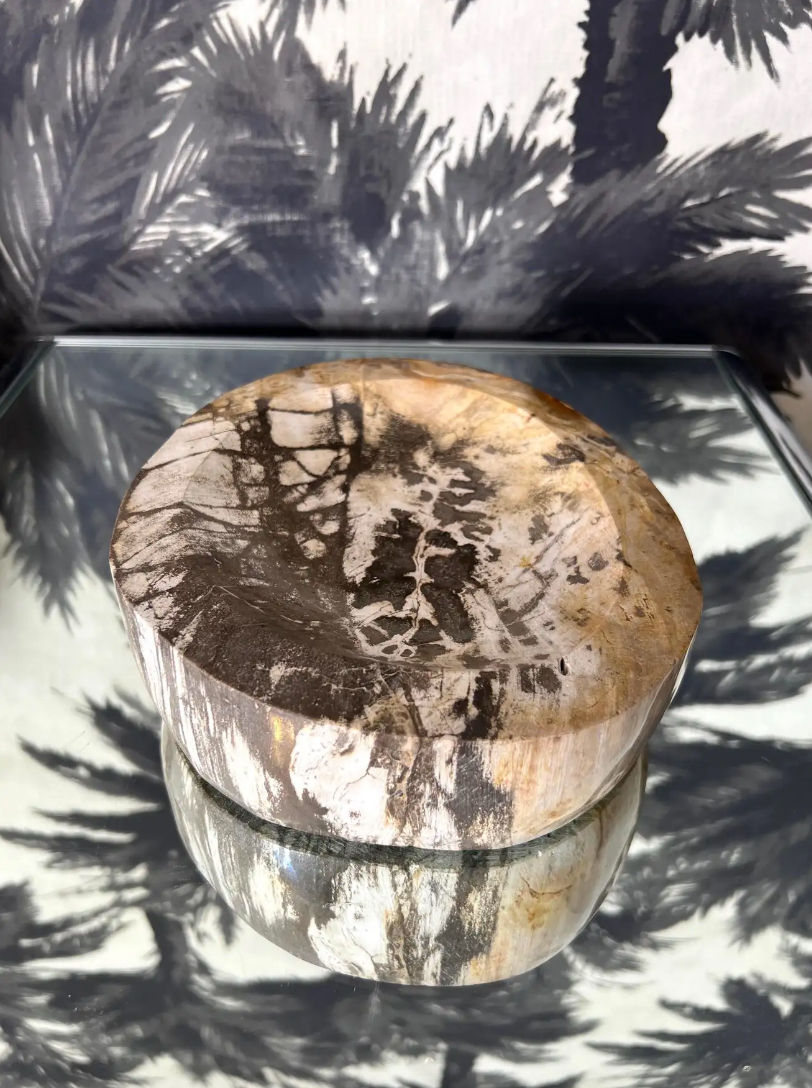 Thumbnail: Petrified Wood Vide-Poche Decorative Bowl with Natural Striping in Beige & Grey