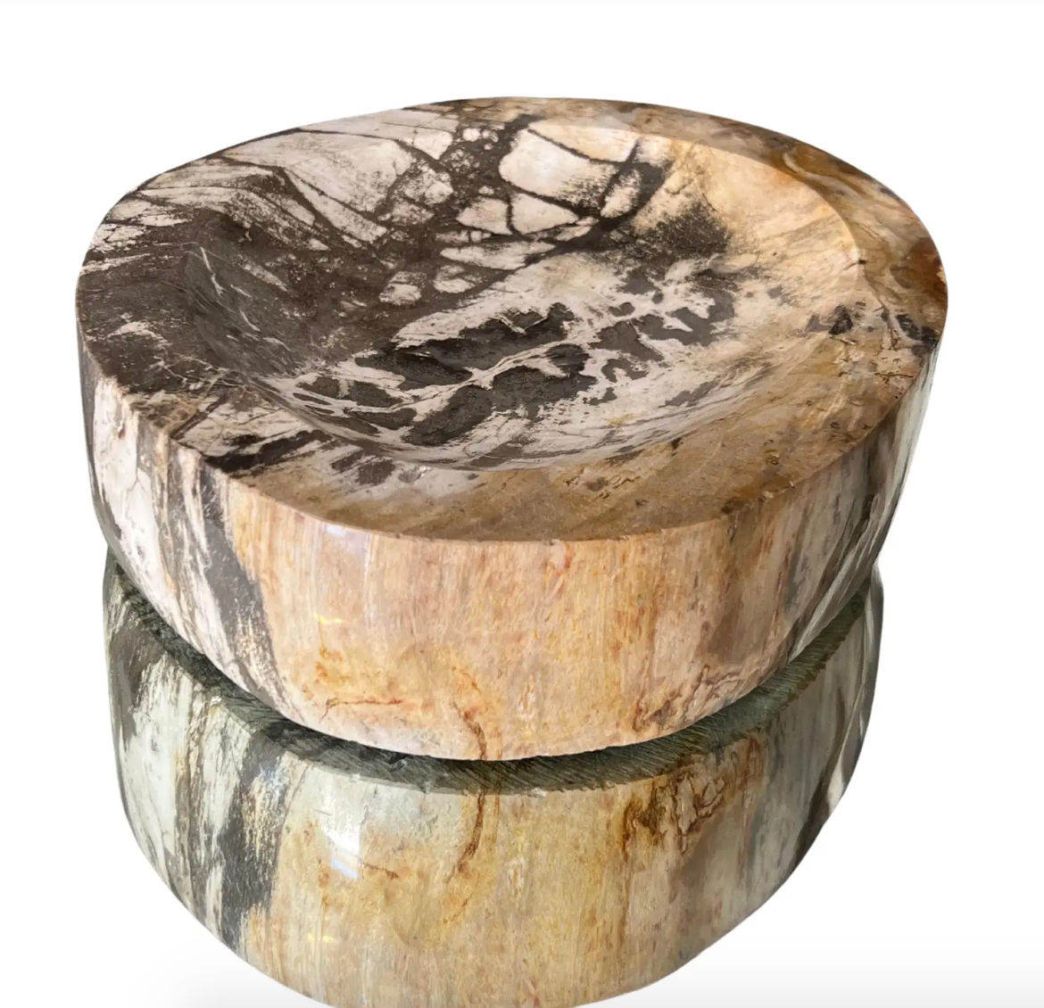 Petrified Wood Vide-Poche Decorative Bowl with Natural Striping in Beige & Grey