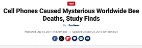Fox News_bees title.png